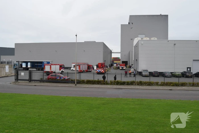 Hulpdiensten groots ingezet voor brand in bedrijfspand