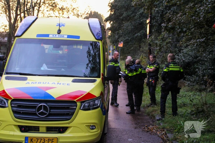 Automobilist raakt van de weg en belandt in bosschage