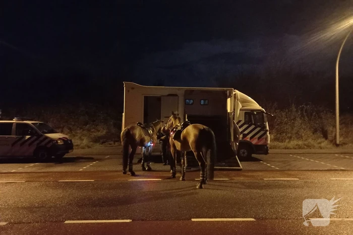 Massale politie-inzet tijdens bekerduel quickboys-nac breda