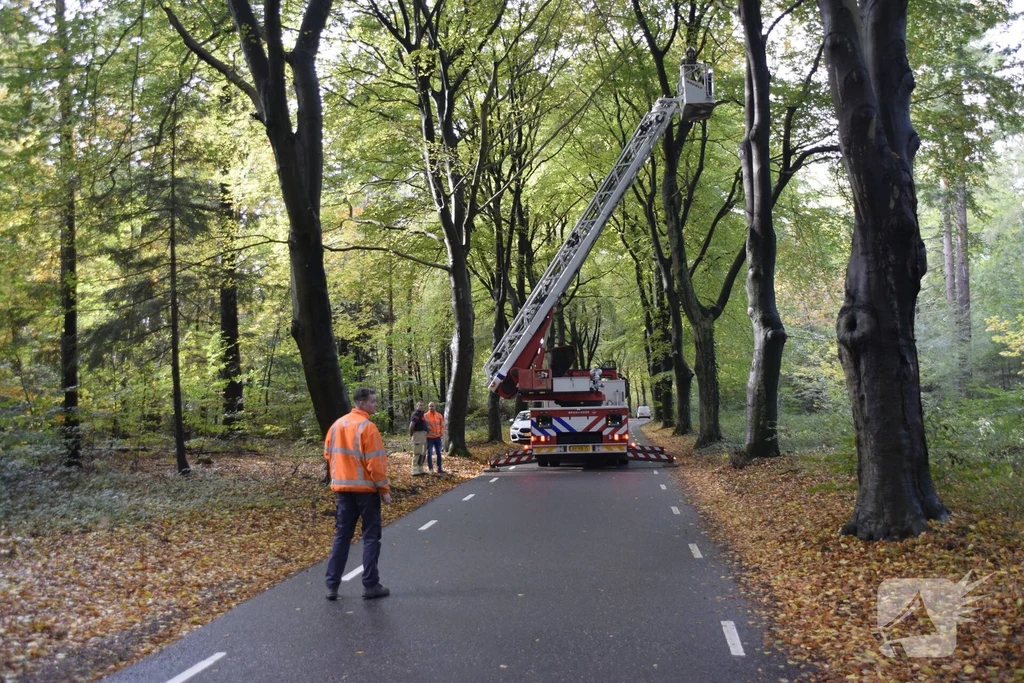 Autoweg 112 meldingen Rhenen 