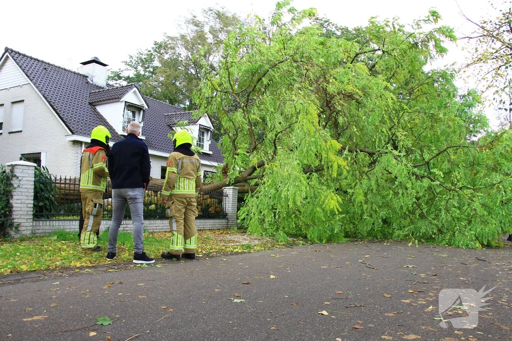 Odamolenstraat Nieuws Weert 