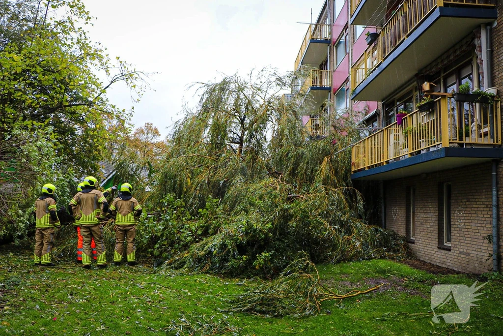 Spaarnestraat Nieuws Leiden 