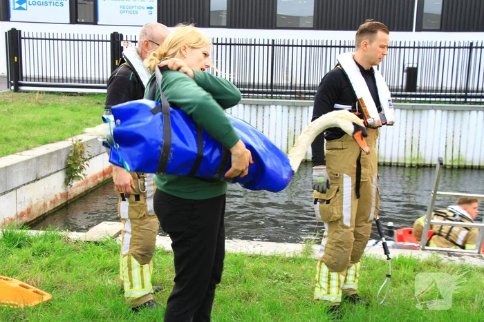 Bloedende zwaan houdt hulpdiensten bezig