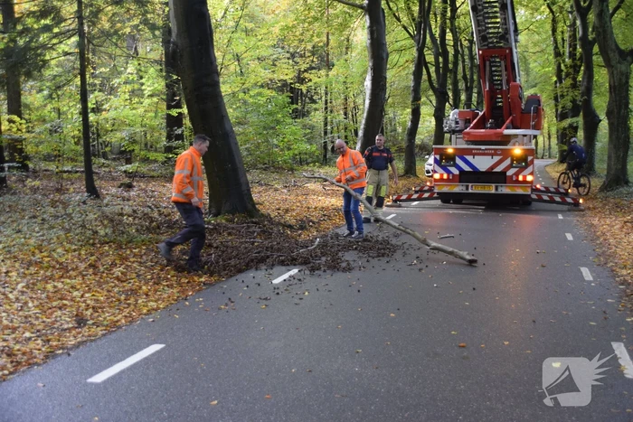Brandweer ingezet voor loshangende tak