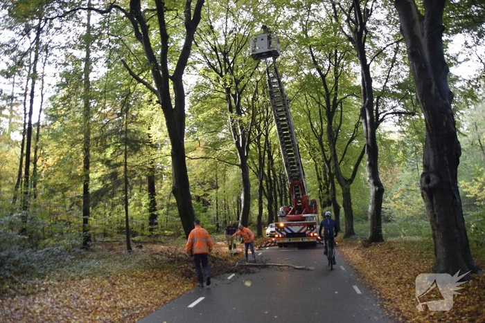 Brandweer ingezet voor loshangende tak