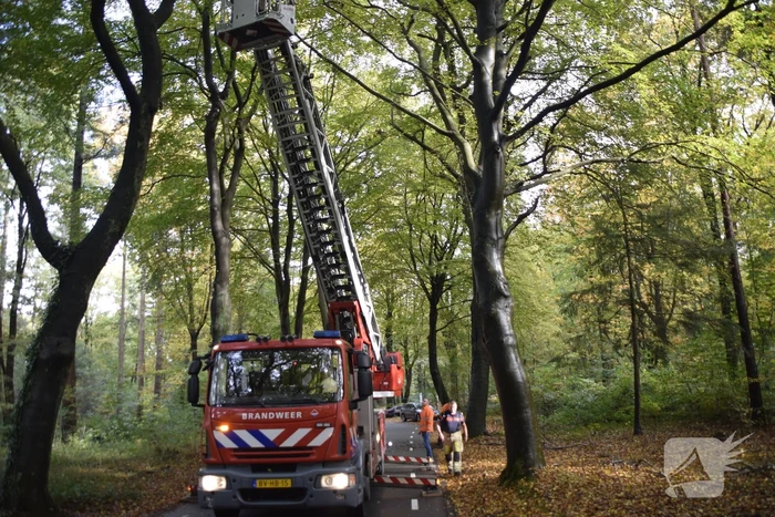 Brandweer ingezet voor loshangende tak