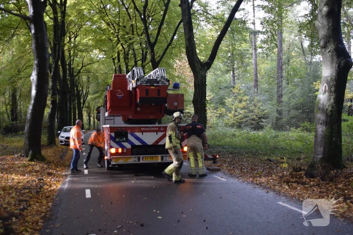Brandweer ingezet voor loshangende tak