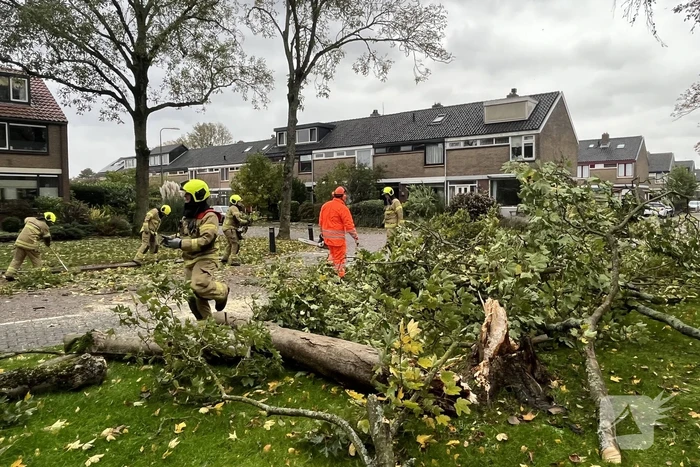 natuur prins willem alexanderln westmaas