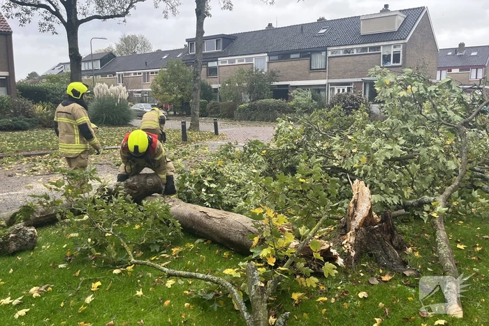 Brandweer zaagt omgevallen boom in stukken