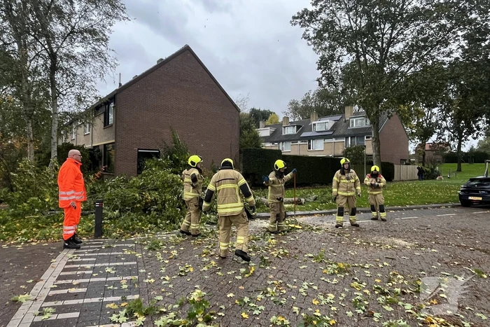Brandweer zaagt omgevallen boom in stukken