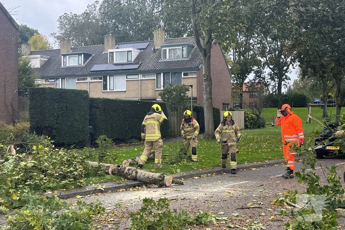 Brandweer zaagt omgevallen boom in stukken