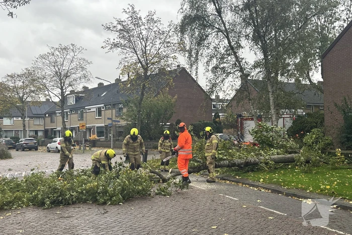 Brandweer zaagt omgevallen boom in stukken