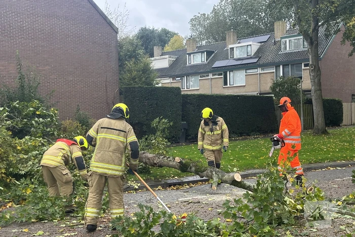 Brandweer zaagt omgevallen boom in stukken