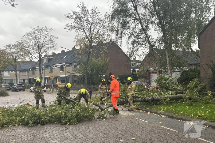 Brandweer zaagt omgevallen boom in stukken