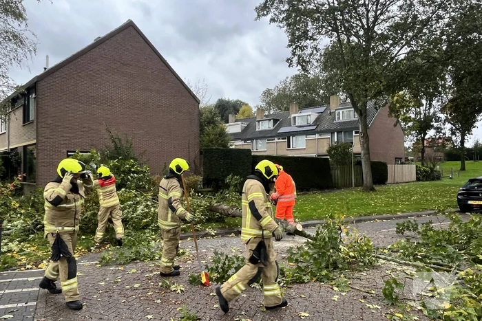 Brandweer zaagt omgevallen boom in stukken