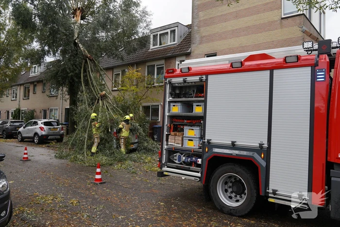 Grote loshangende tak komt boven op personenauto terecht