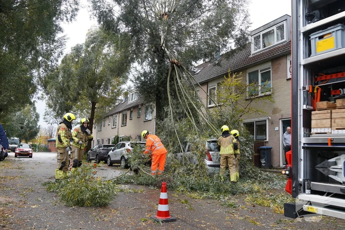 Grote loshangende tak komt boven op personenauto terecht