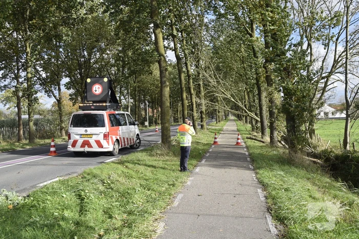 Meerdere bomen over de provinciale weg