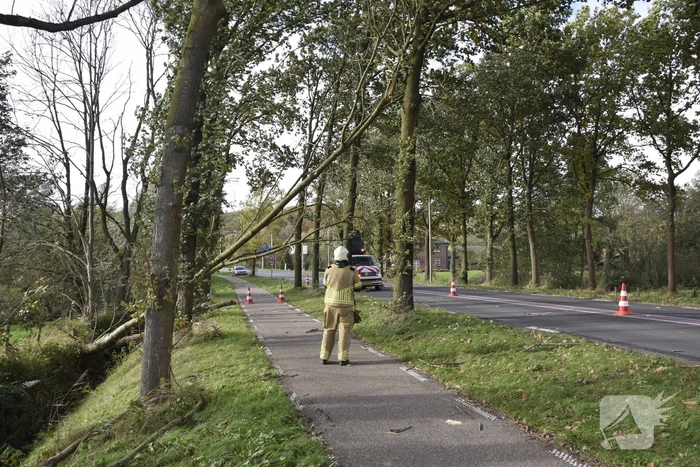 Meerdere bomen over de provinciale weg