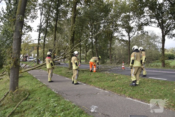 Meerdere bomen over de provinciale weg