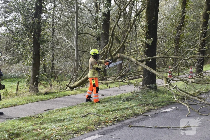 Meerdere bomen over de provinciale weg