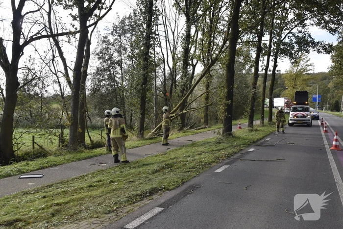 Meerdere bomen over de provinciale weg