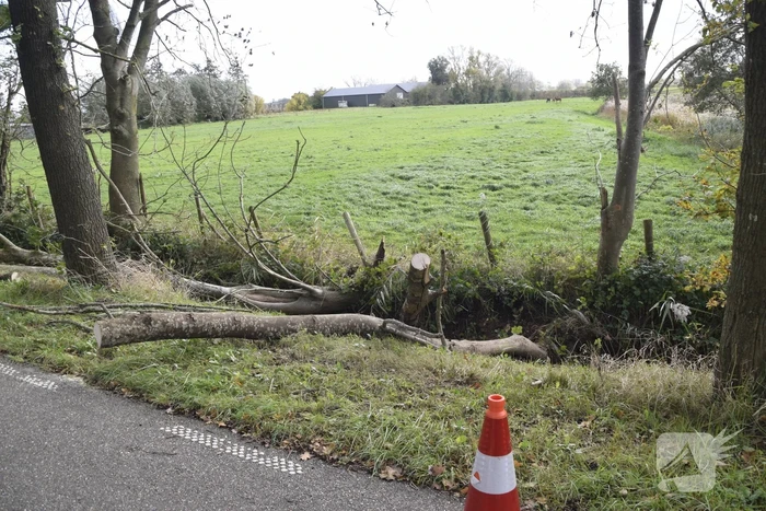 Meerdere bomen over de provinciale weg