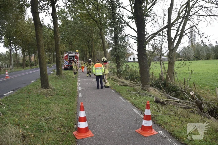 Meerdere bomen over de provinciale weg