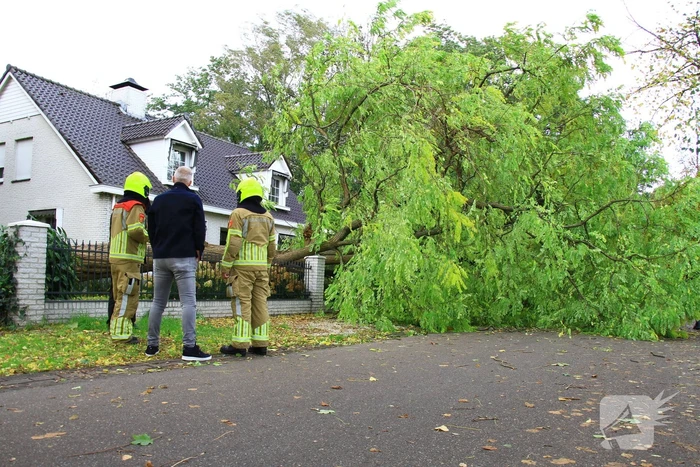 natuur odamolenstraat weert