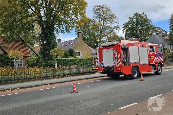 natuur dorpsstraat lunteren