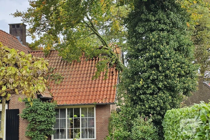 Forse schade aan woning door omgevallen boom