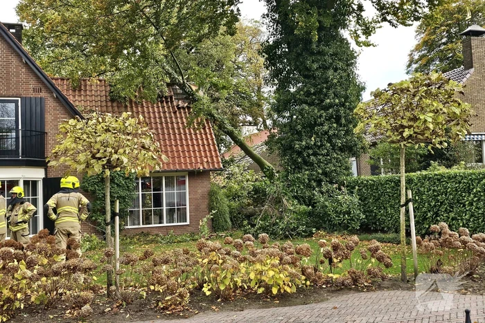 Forse schade aan woning door omgevallen boom