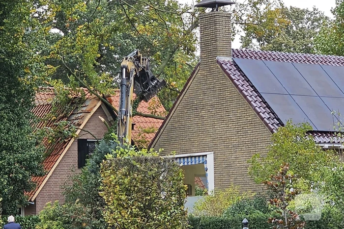 Forse schade aan woning door omgevallen boom