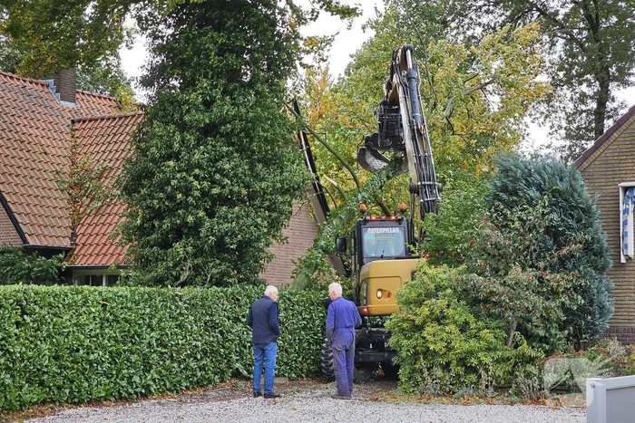 Forse schade aan woning door omgevallen boom