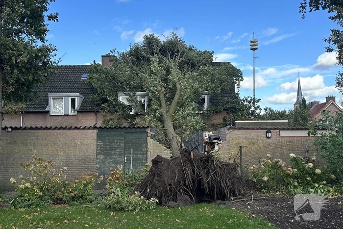 Fikse schade aan schuur door omvallende boom