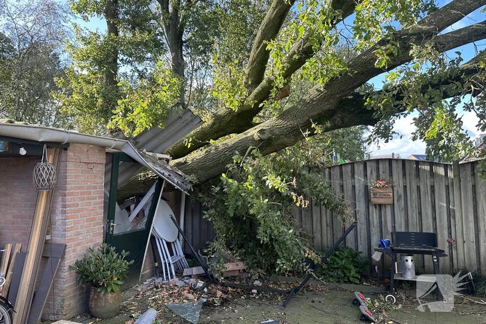 Fikse schade aan schuur door omvallende boom