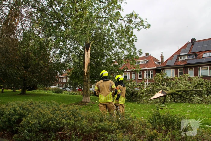 Omgeving afgezet door afgebroken tak