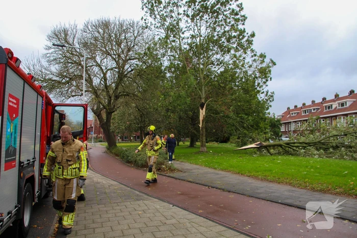 Omgeving afgezet door afgebroken tak