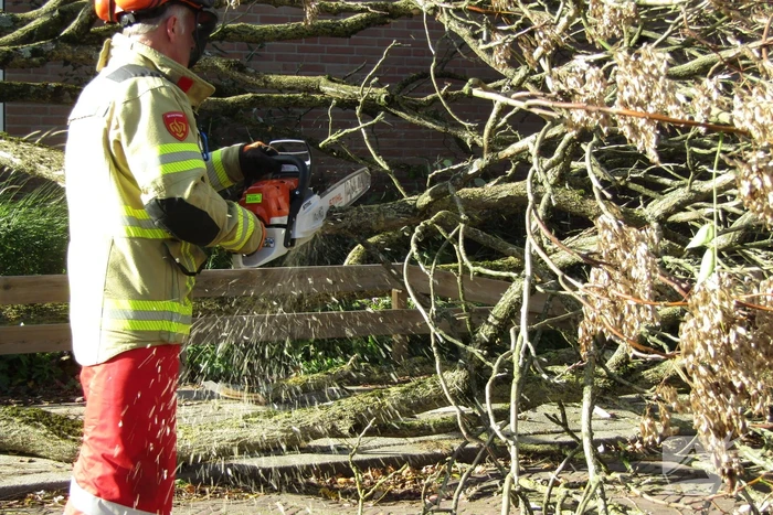 Omgewaaide boom beschadigd woning