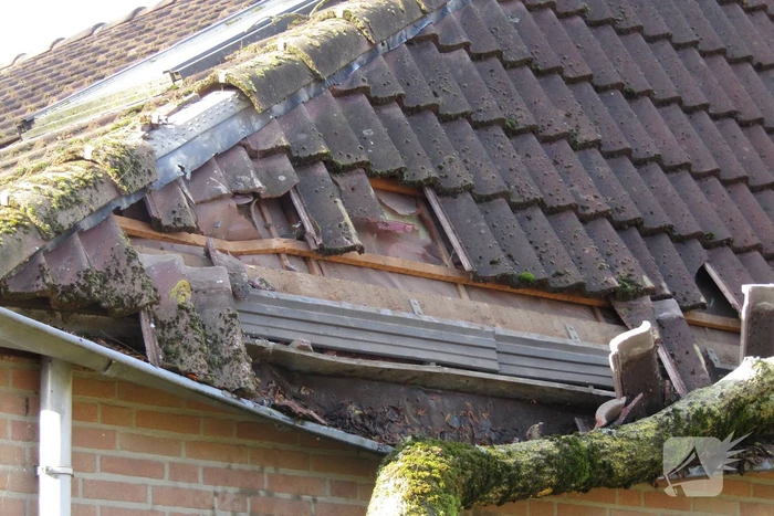 Omgewaaide boom beschadigd woning