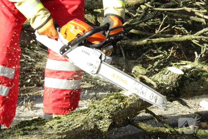 Omgewaaide boom beschadigd woning