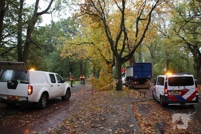 natuur storm van 's-gravesandeweg wassenaar