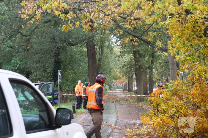 Weg gedeeltelijk dicht door gevaarlijk hangende tak