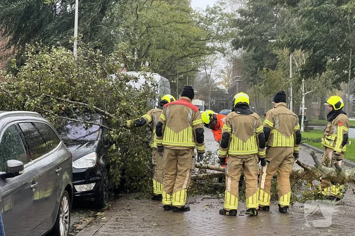 Omvallende boom beschadigd personenauto