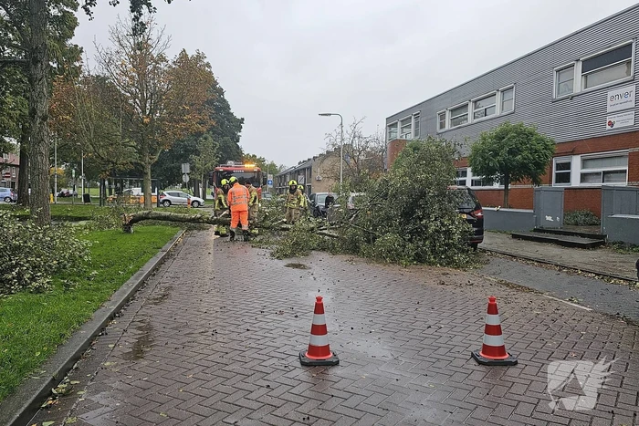 Omvallende boom beschadigd personenauto