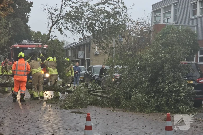 Omvallende boom beschadigd personenauto