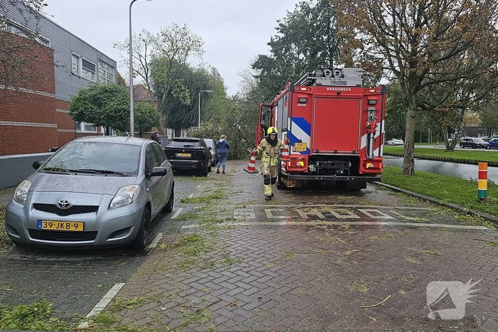 Omvallende boom beschadigd personenauto