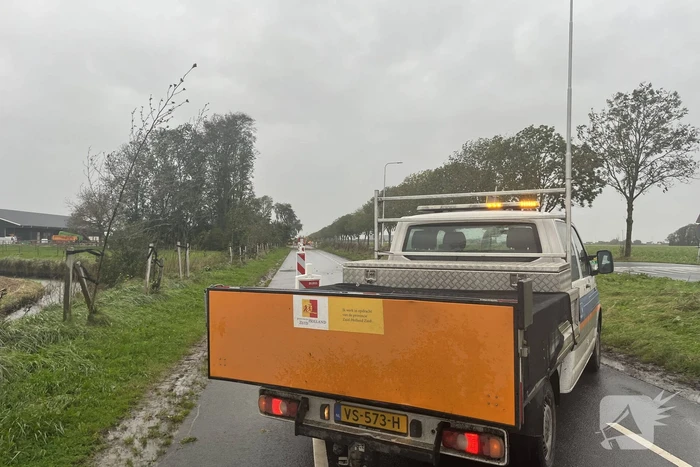 Grote boom val over weg