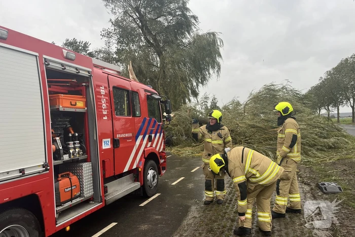 Grote boom val over weg