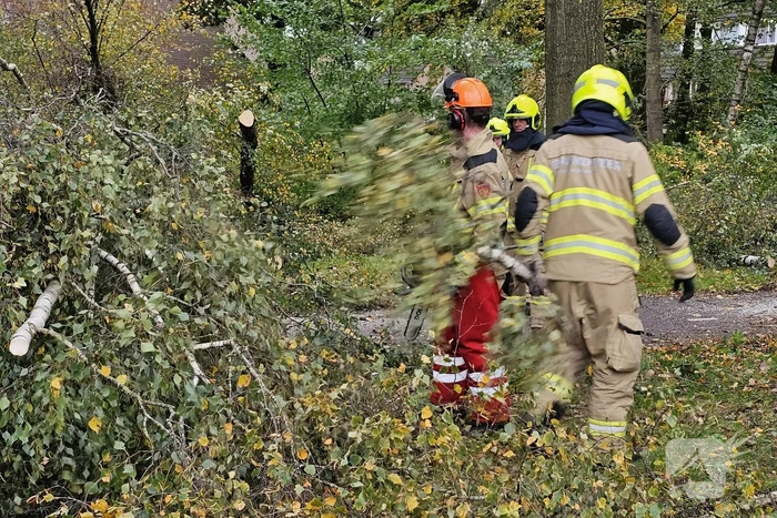 Meerdere omgevallen bomen versperren fietspad